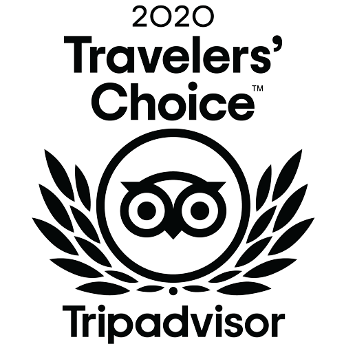 tripadvisor travelers' choice 2020