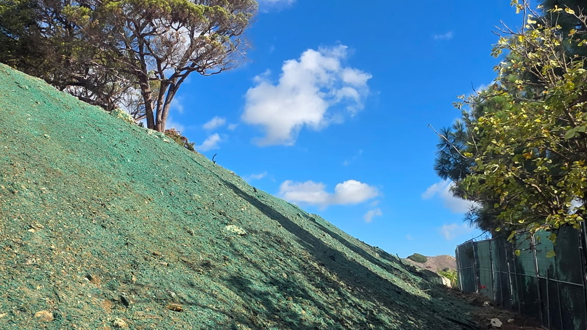 hydroseeding_IMG_2443-crop